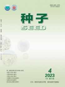 种子